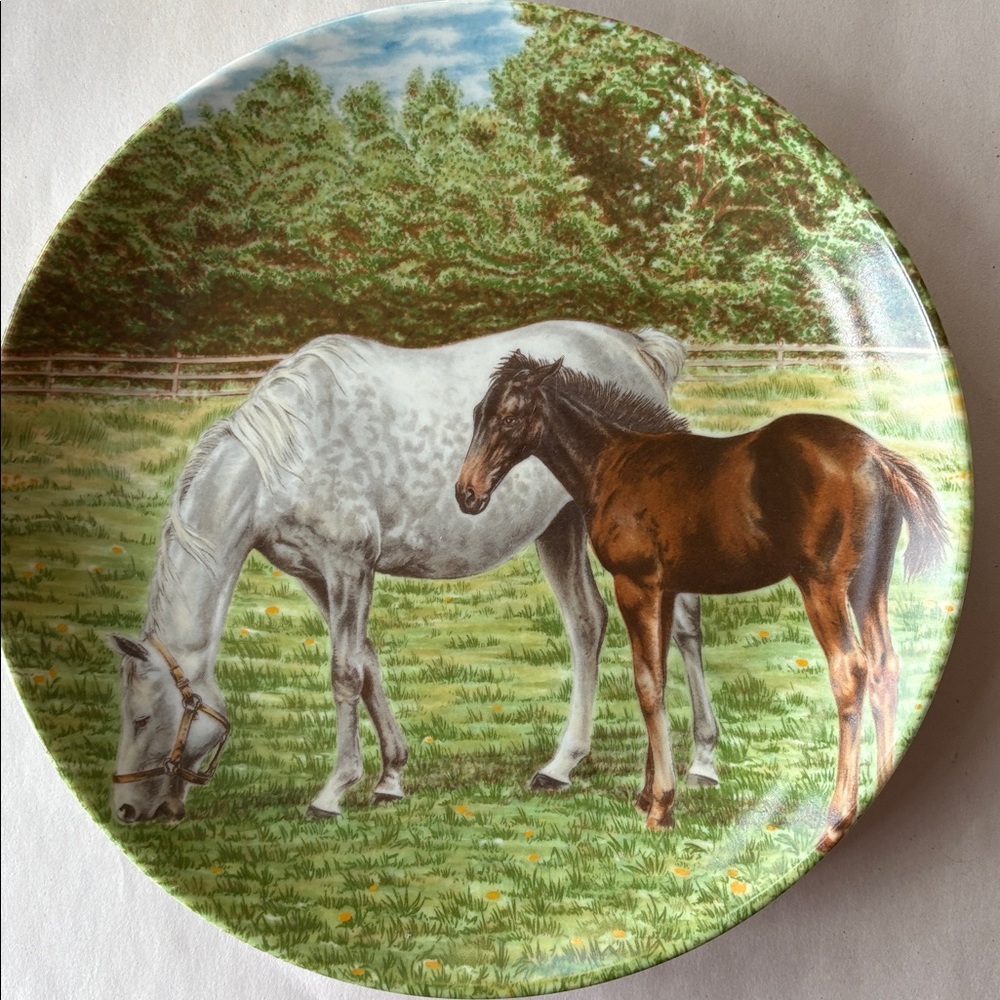Vintage Limited Edition Collector Plates Horses from Kaiser West Germany - Picture 3 of 5